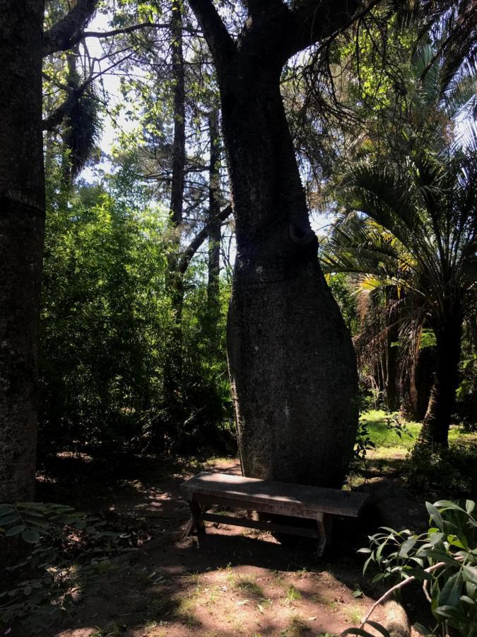Villa Anede Río Ceballos Dış mekan fotoğraf