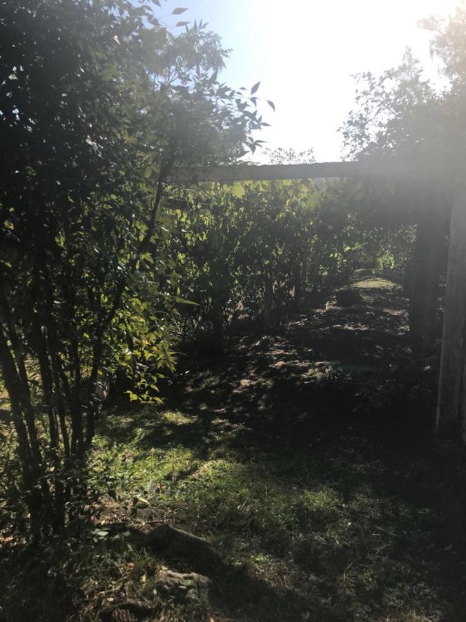 Villa Anede Río Ceballos Dış mekan fotoğraf